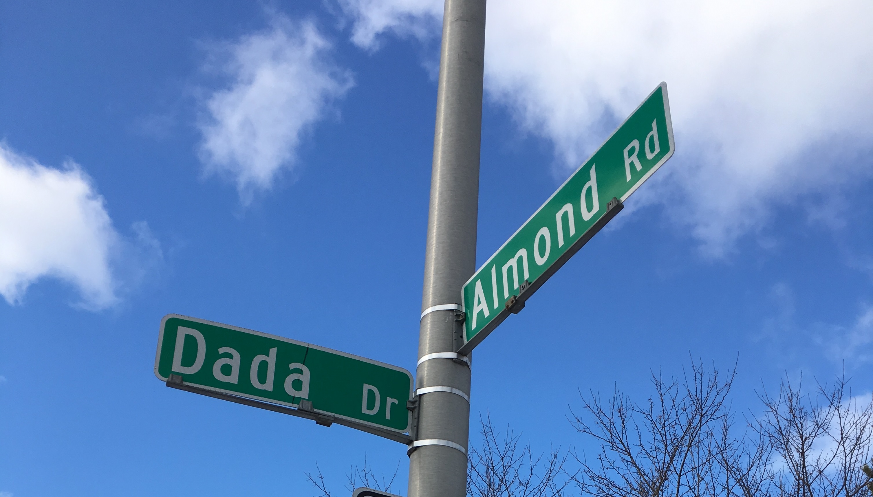 Almond and Dada Picture Almond and Dada Picture