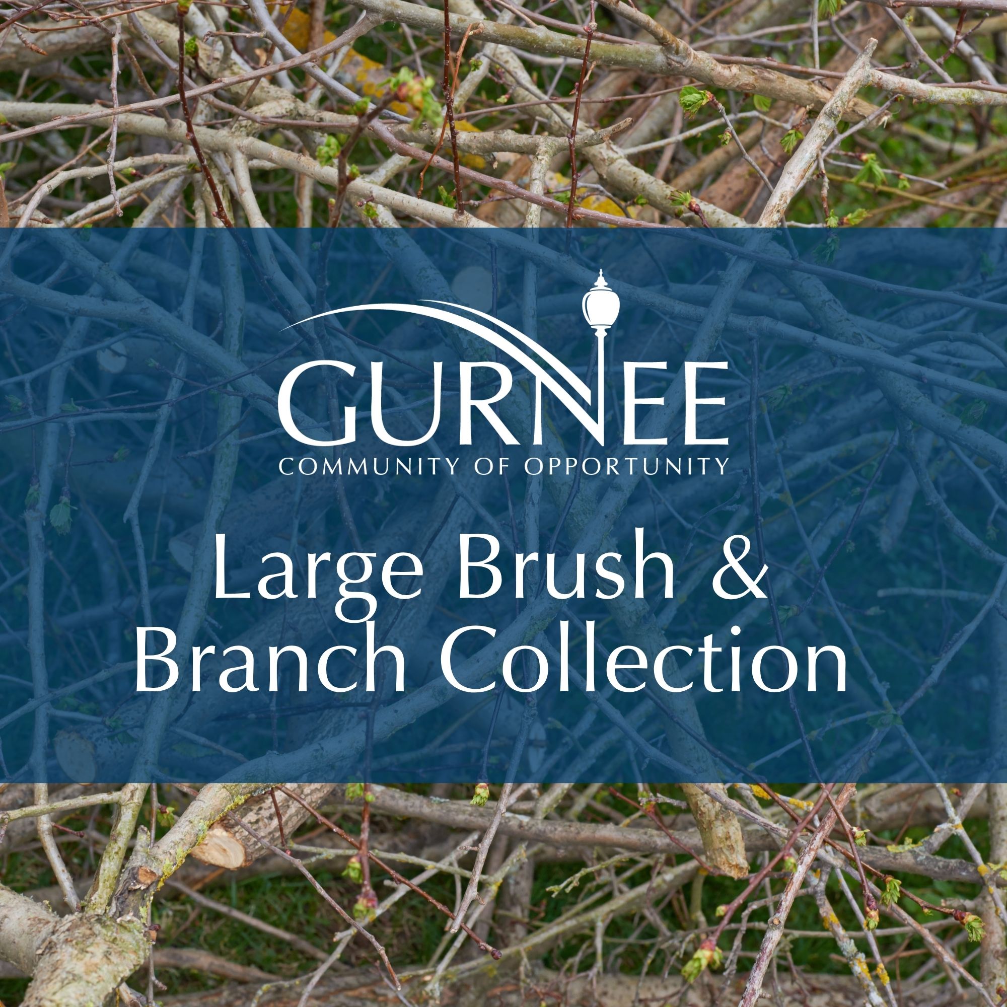 Large Brush and Branch Collection Starting Wednesday, July 29