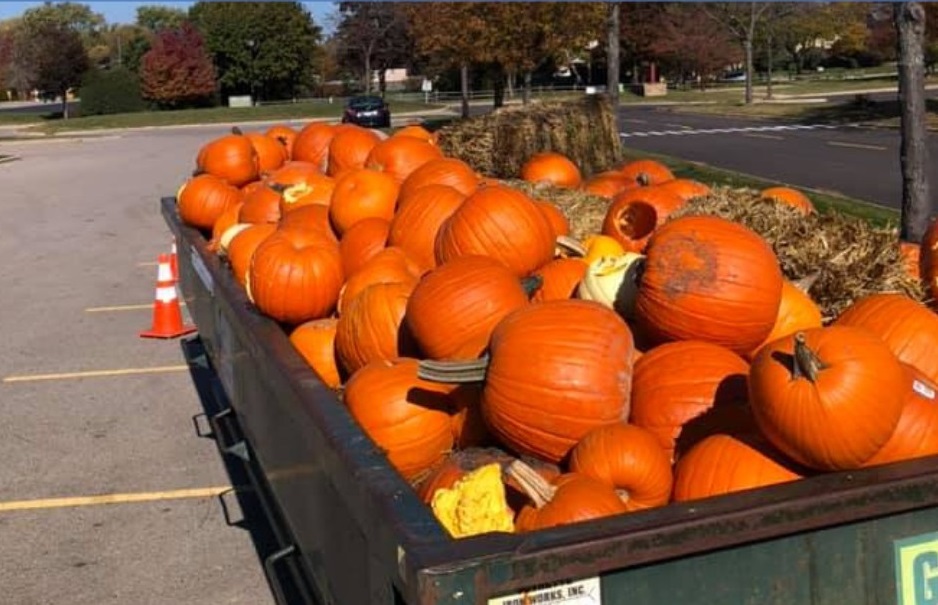 Pumpkin Composting Event Taking Place November 5th