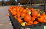 Pumpkin Composting Event Taking Place November 5th