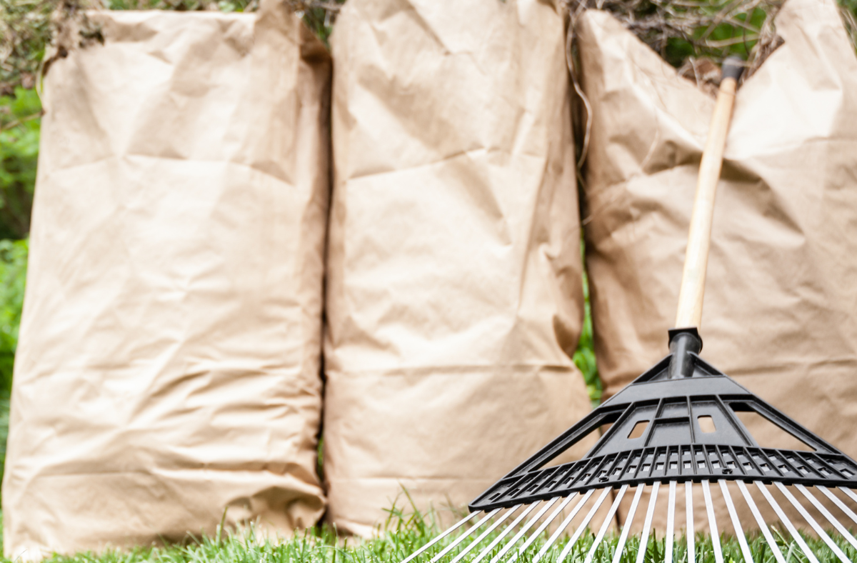 Unlimited Free Landscape Waste Collection Begins Monday, April 3rd