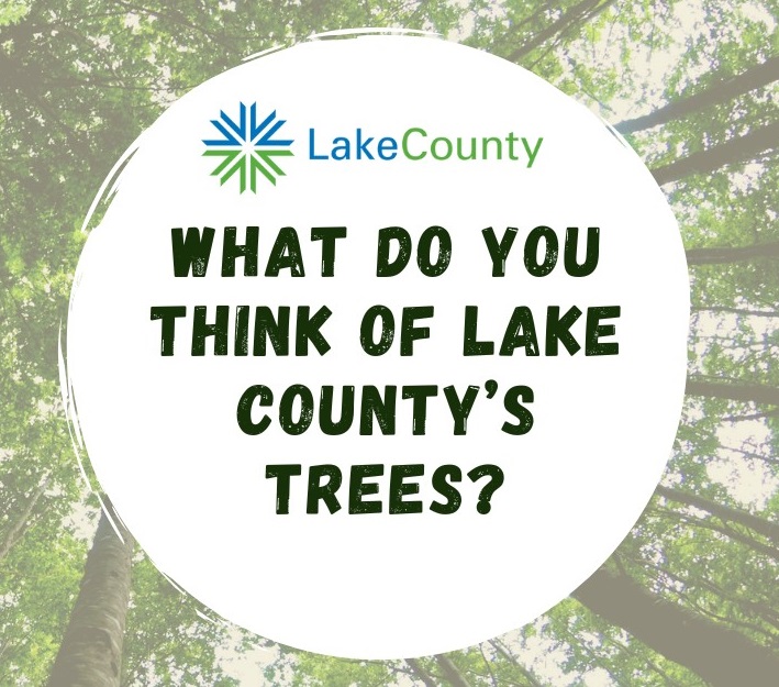 Help Shape the Future of Trees in Lake County By Taking the Tree Survey