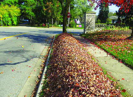 2023 Leaf Collection Program