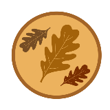Leaf Collection Update: Services Continuing in to Next Week